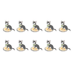 もちこ_チワワ6-3