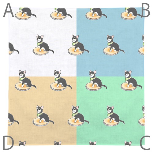 もちこ_チワワ6-3