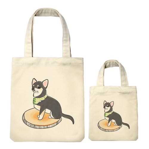 もちこ_チワワ6-3