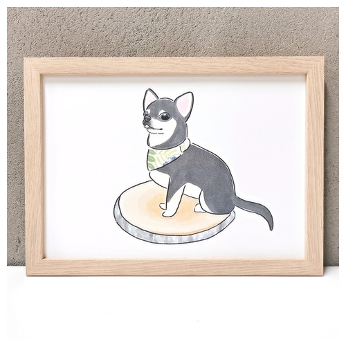 もちこ_チワワ6-3