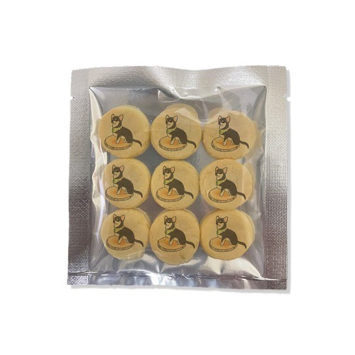 もちこ_チワワ6-3