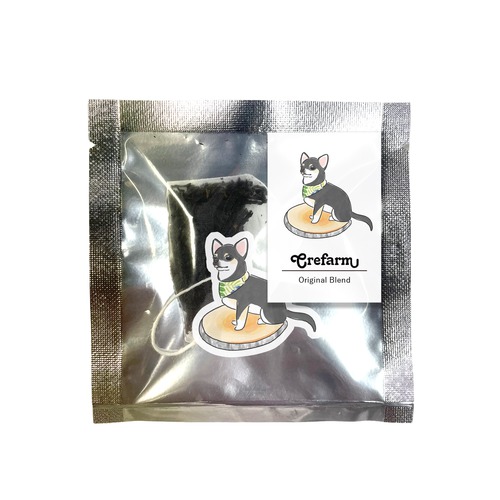 もちこ_チワワ6-3