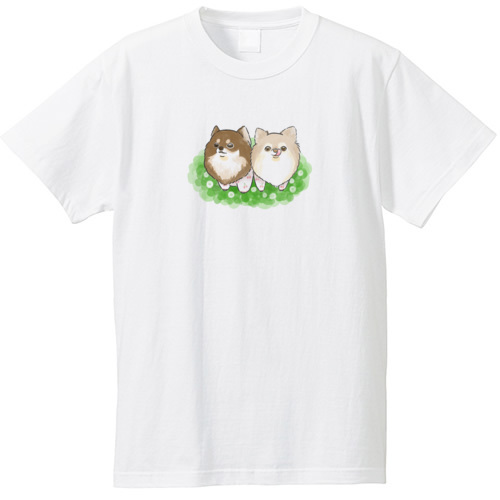 もちこ_チワワ6-4