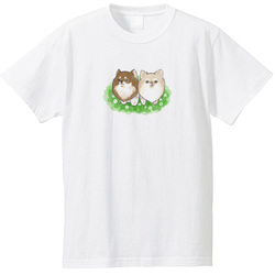 もちこ_チワワ6-4