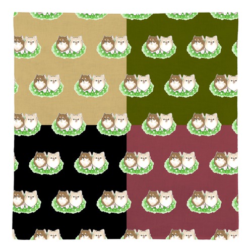 もちこ_チワワ6-4