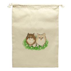 もちこ_チワワ6-4