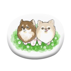 もちこ_チワワ6-4