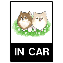 もちこ_チワワ6-4