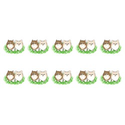 もちこ_チワワ6-4