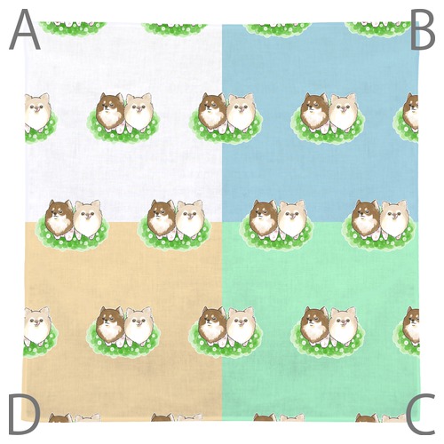 もちこ_チワワ6-4