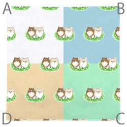 もちこ_チワワ6-4