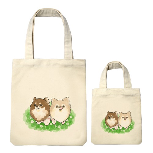 もちこ_チワワ6-4