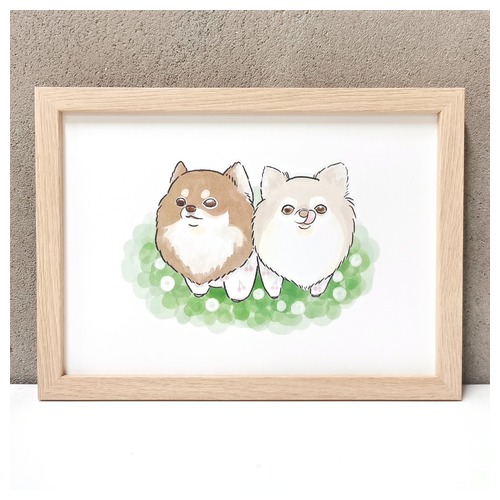 もちこ_チワワ6-4