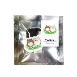 もちこ_チワワ6-4