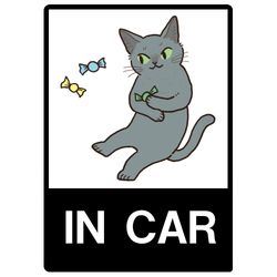 tama_ロシアンブルー6-1