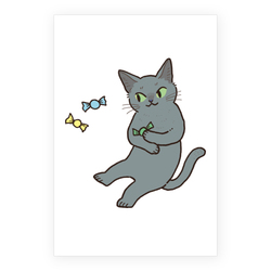 tama_ロシアンブルー6-1