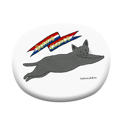 はくたちひろ_ロシアンブルー6-1