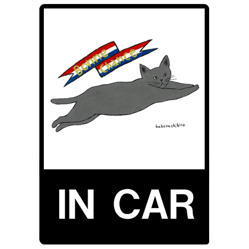 はくたちひろ_ロシアンブルー6-1