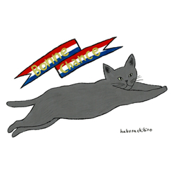 はくたちひろ_ロシアンブルー6-1