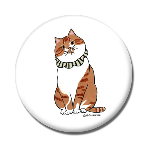 はくたちひろ_茶トラ7-1