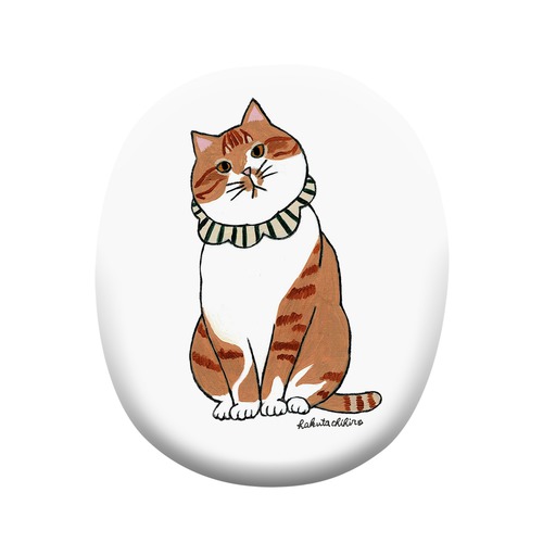 はくたちひろ_茶トラ7-1