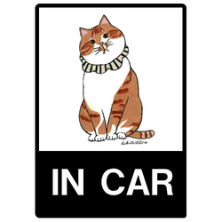 はくたちひろ_茶トラ7-1