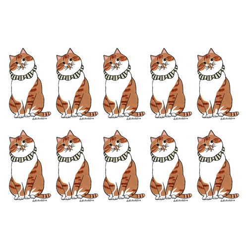 はくたちひろ_茶トラ7-1