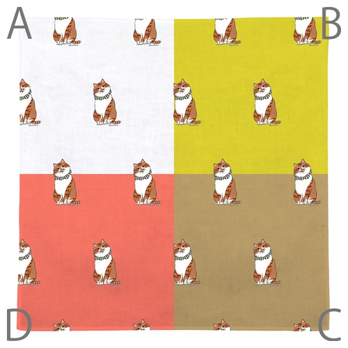 はくたちひろ_茶トラ7-1