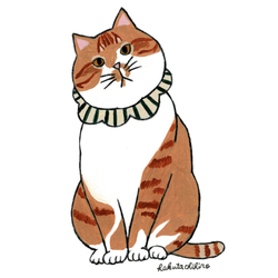 はくたちひろ_茶トラ7-1