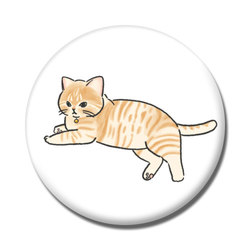 もちこ_茶トラ7-1