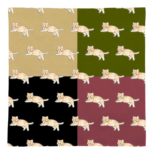 もちこ_茶トラ7-1