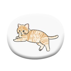 もちこ_茶トラ7-1