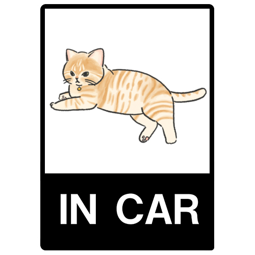 もちこ_茶トラ7-1