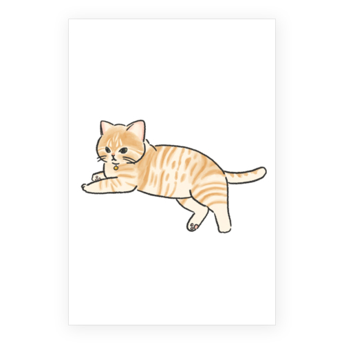 もちこ_茶トラ7-1