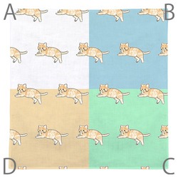 もちこ_茶トラ7-1