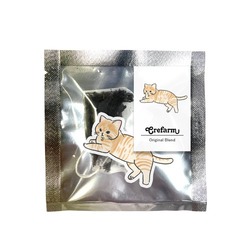 もちこ_茶トラ7-1