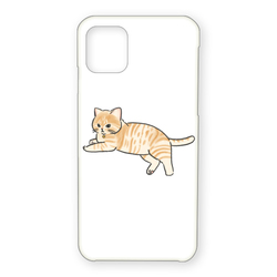 もちこ_茶トラ7-1