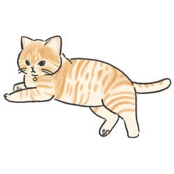 もちこ_茶トラ7-1