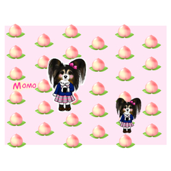 デザイン名/ ももちゃんグッズ