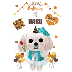 HARU