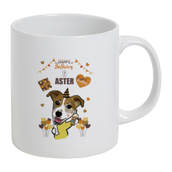 ASTER