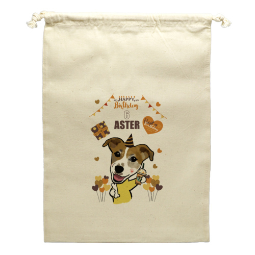 ASTER