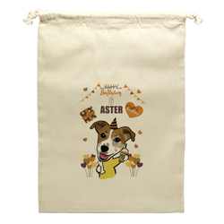 ASTER