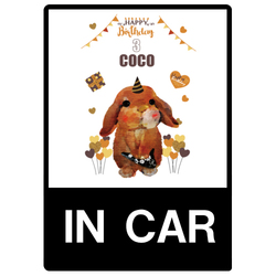 COCO