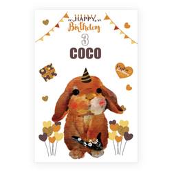 COCO