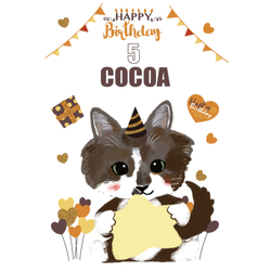 COCOA