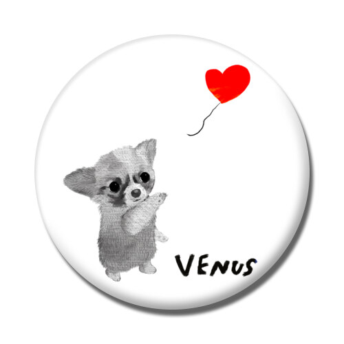 VENUS