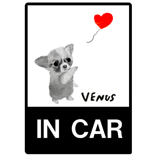 VENUS