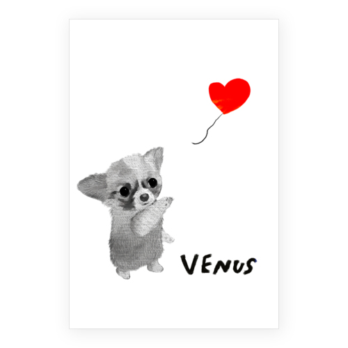 VENUS