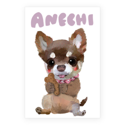 ANECHI